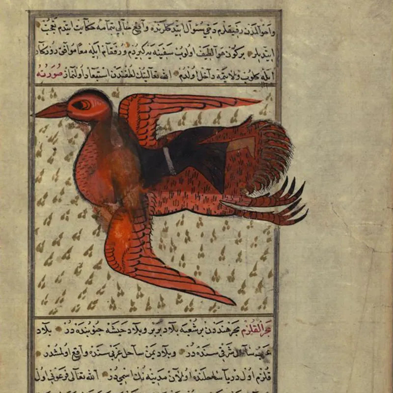 Powerful Protection Taweez